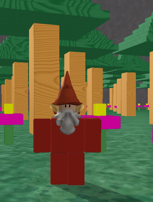 A Well Gnome Fact Roblox Blog - the gnome roblox