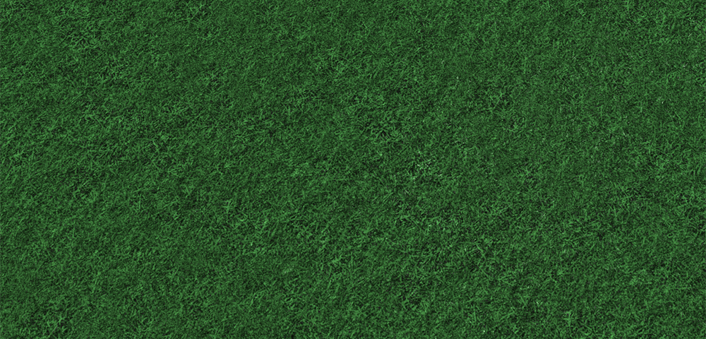 Roblox Terrain Grass