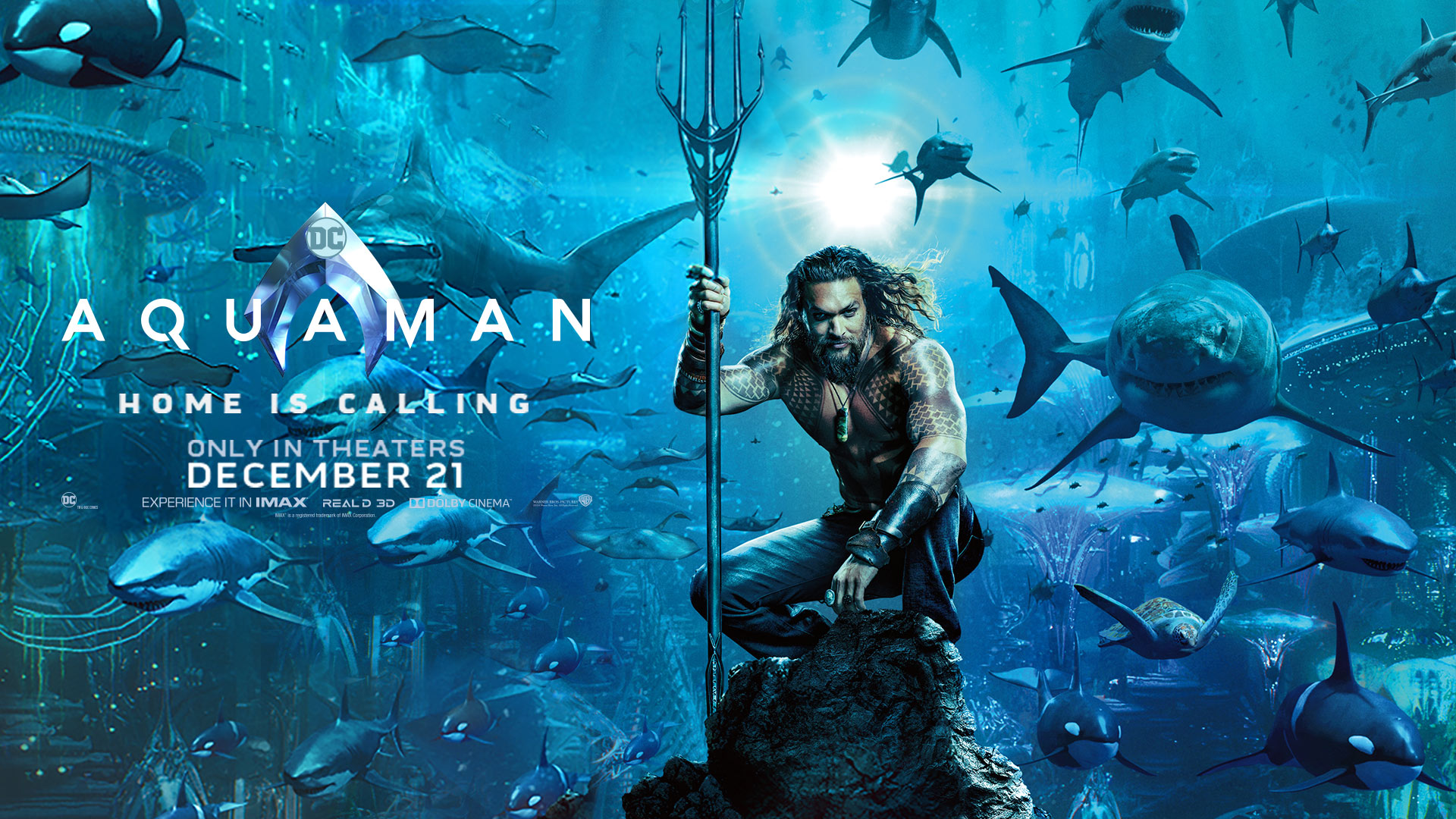 Seven Seas Of Adventure Await In The Aquaman Event Roblox Blog